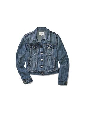 Aritzia Blue Denim Jean Jacket